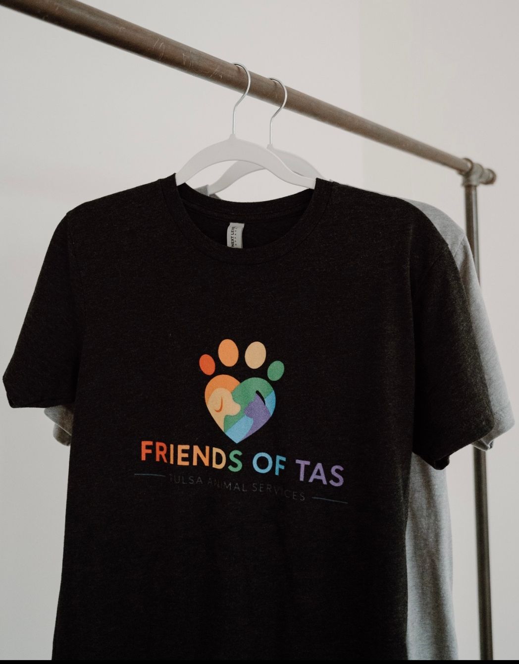 About the  campaign on Bonfire 6