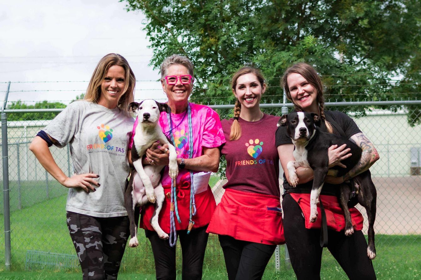 About the  campaign on Bonfire 3