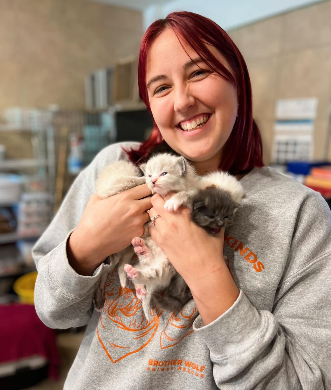 About the Brother Wolf Animal Rescue - Be Kind campaign on Bonfire 2