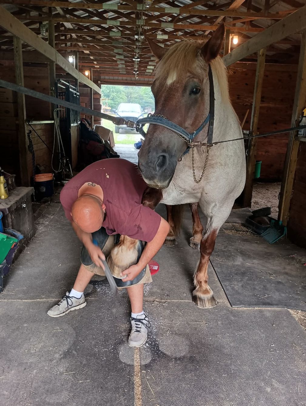 About the Daily Tees for Daily Needs campaign on Bonfire 2