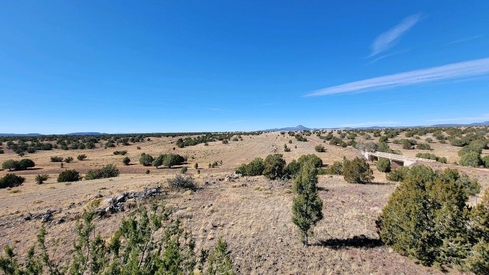 About the Wildhorse 66 Classic campaign on Bonfire 8