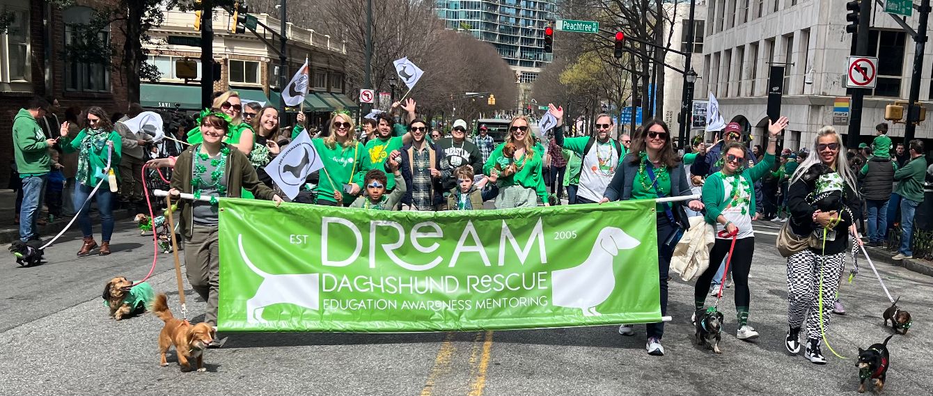 About the St Patrick?s Day 2026 campaign on Bonfire 1