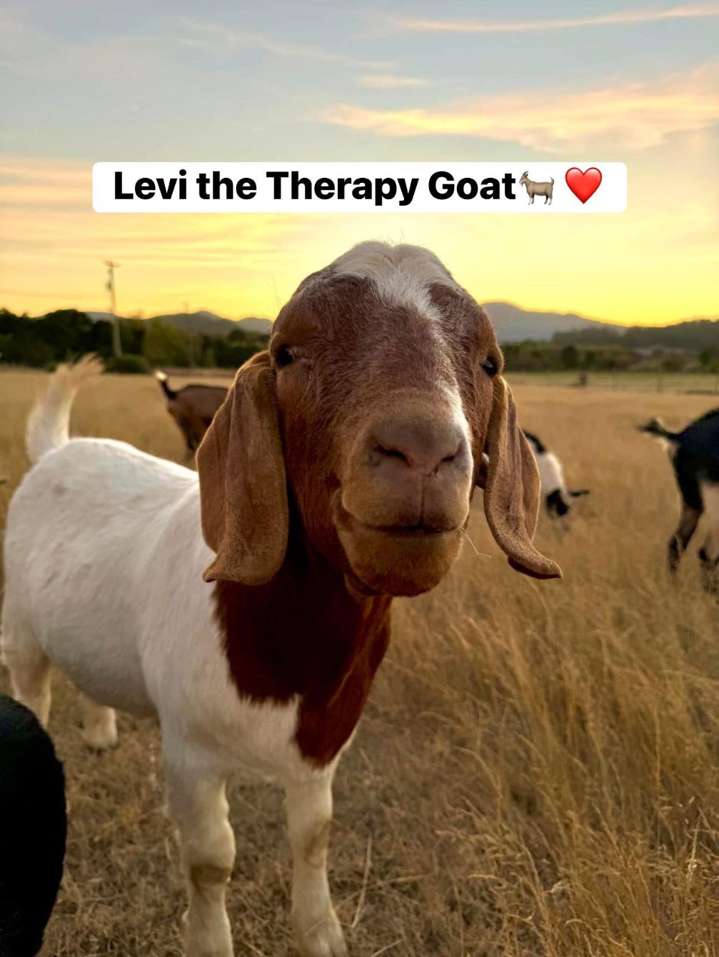 About the  campaign on Bonfire 1