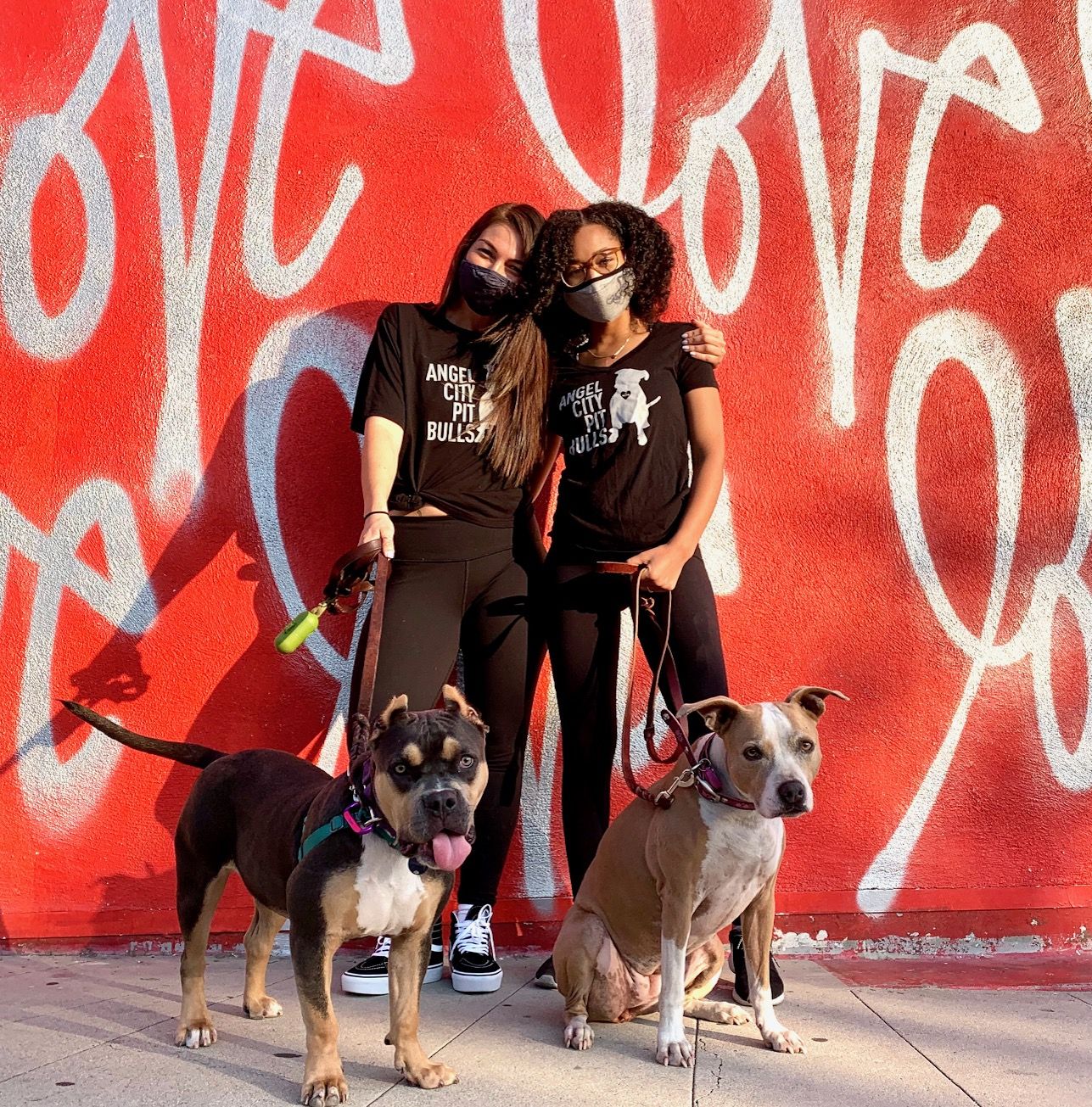 About the Angel City Pit Bulls Shirts campaign on Bonfire 2