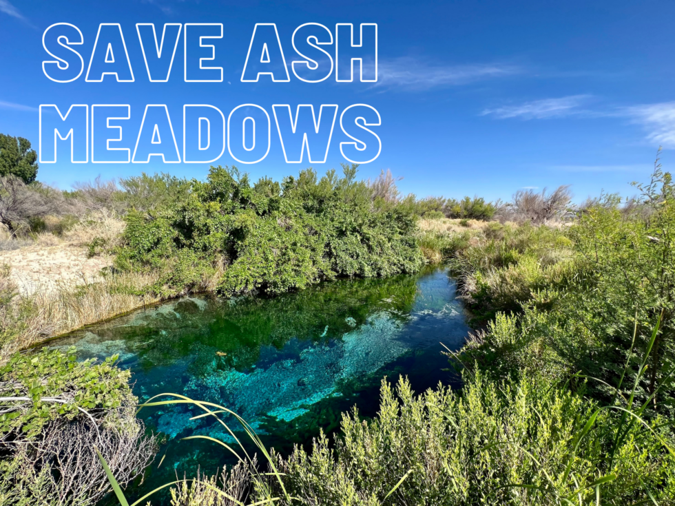 About the  campaign on Bonfire 3