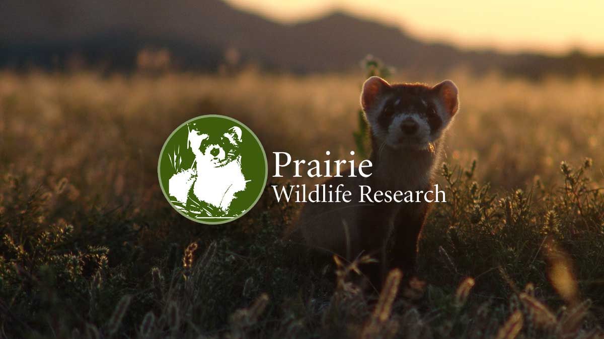 About the Prairie Wildlife Tote Bag campaign on Bonfire 2