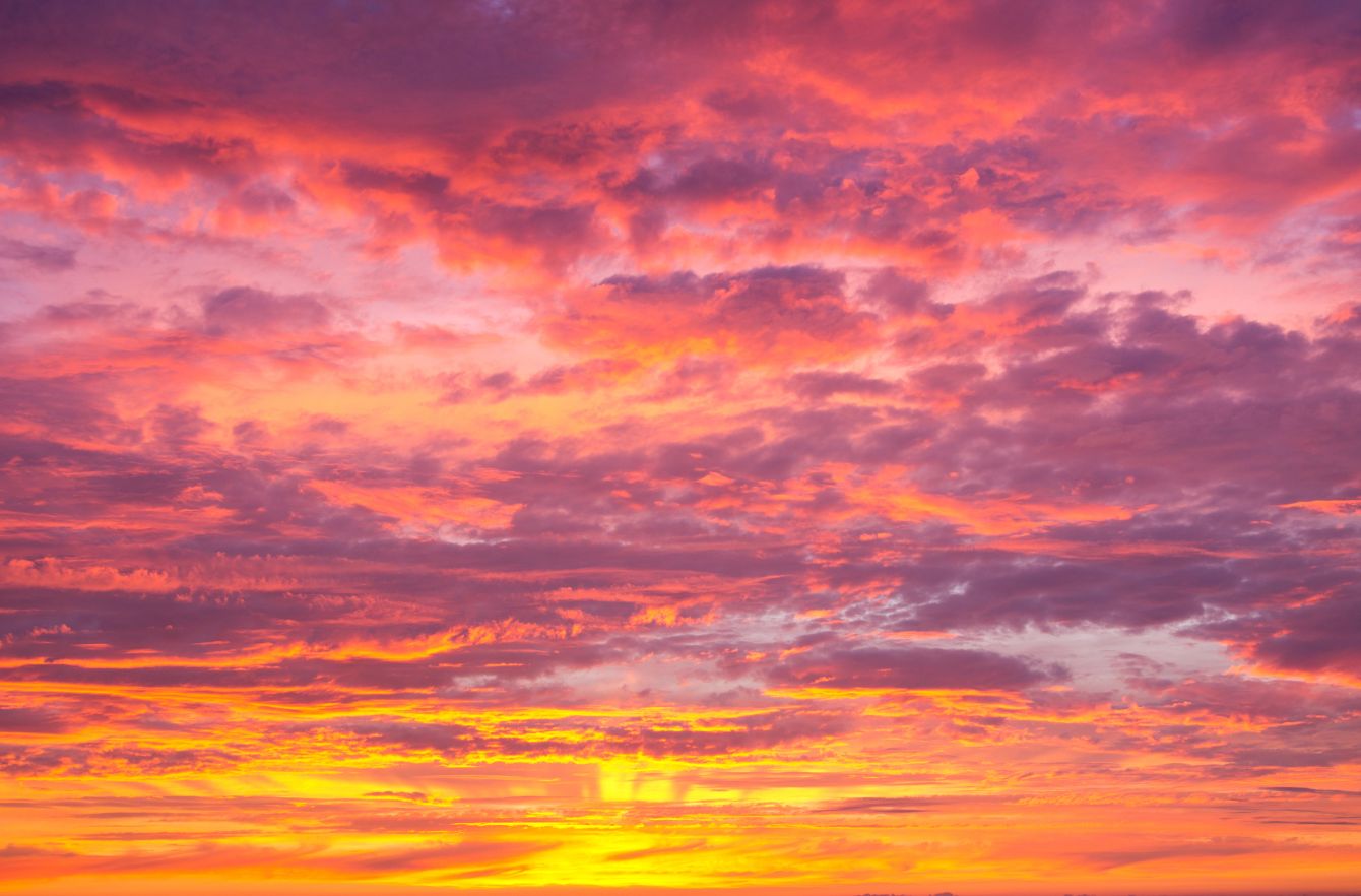 About the  campaign on Bonfire 2