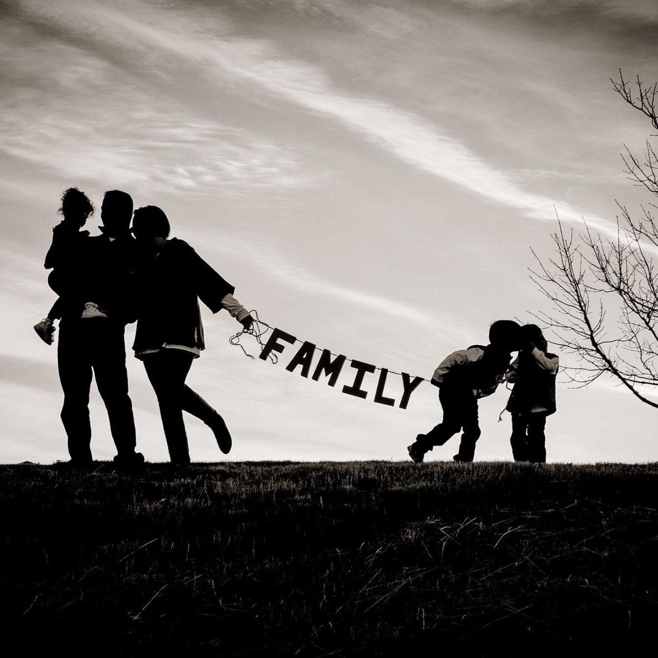 About the  campaign on Bonfire 2