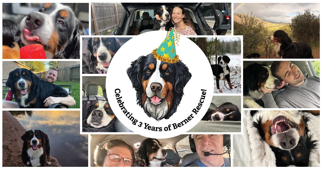 About the A Thousand Tails Wagging - Apparel campaign on Bonfire 1