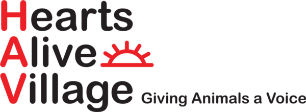 About the Support Hearts Alive Village animal rescue campaign on Bonfire 2