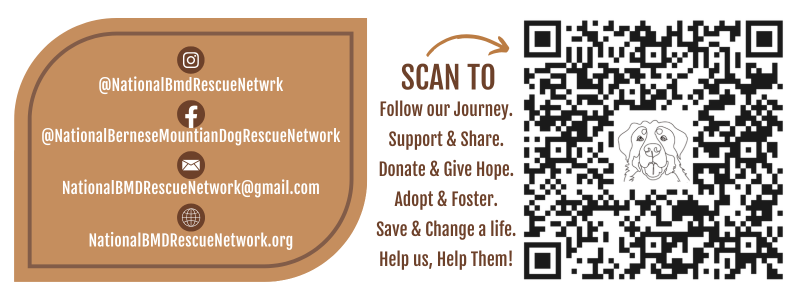 About the NBMDRN Official Mug! campaign on Bonfire 3