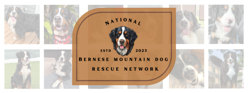 About the NBMDRN Official Mug! campaign on Bonfire 0