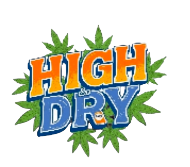 About the High & Dry&nbsp; campaign on Bonfire 1