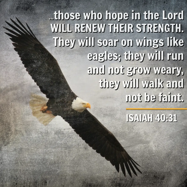 About the HOPE. campaign on Bonfire 4
