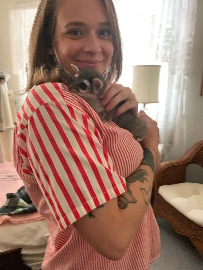 About the California Ringtail Project campaign on Bonfire 3