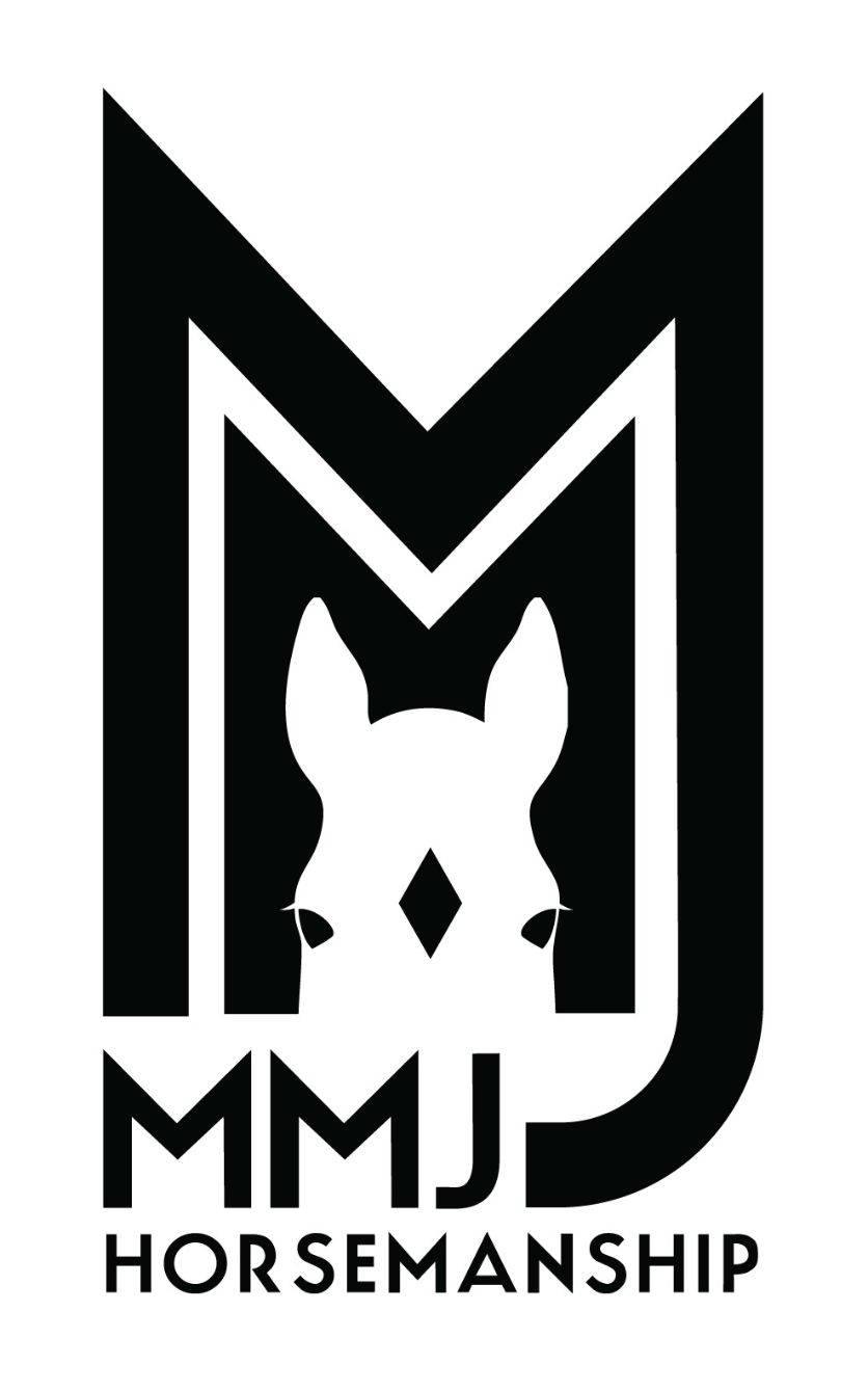 About the Winter Essentials Comfort Collection campaign on Bonfire 2