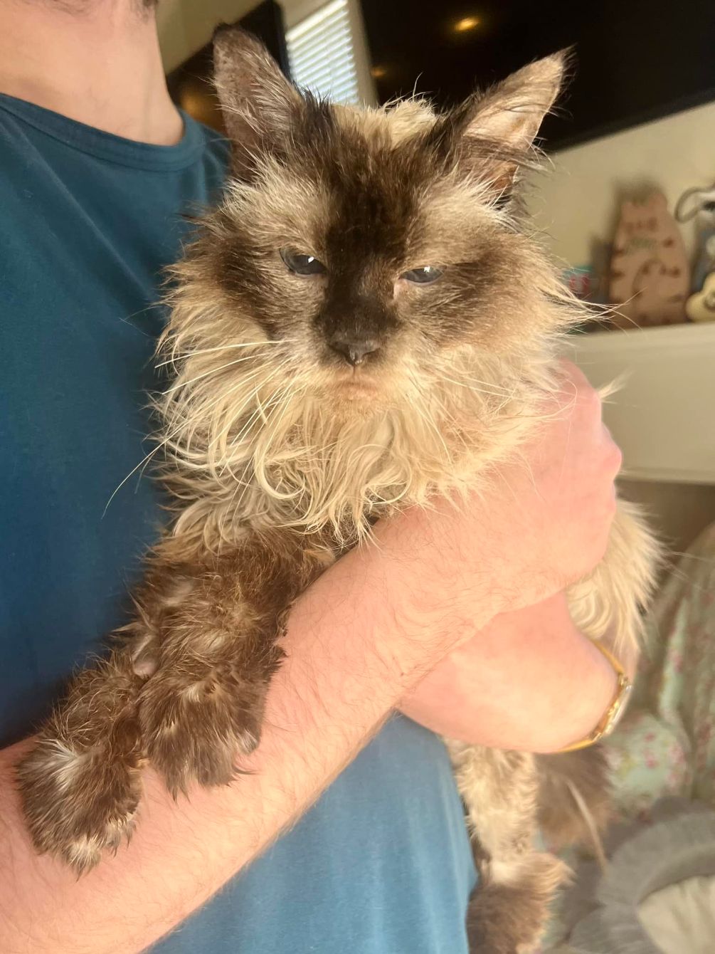 About the Panda's Place Fundraiser campaign on Bonfire 2