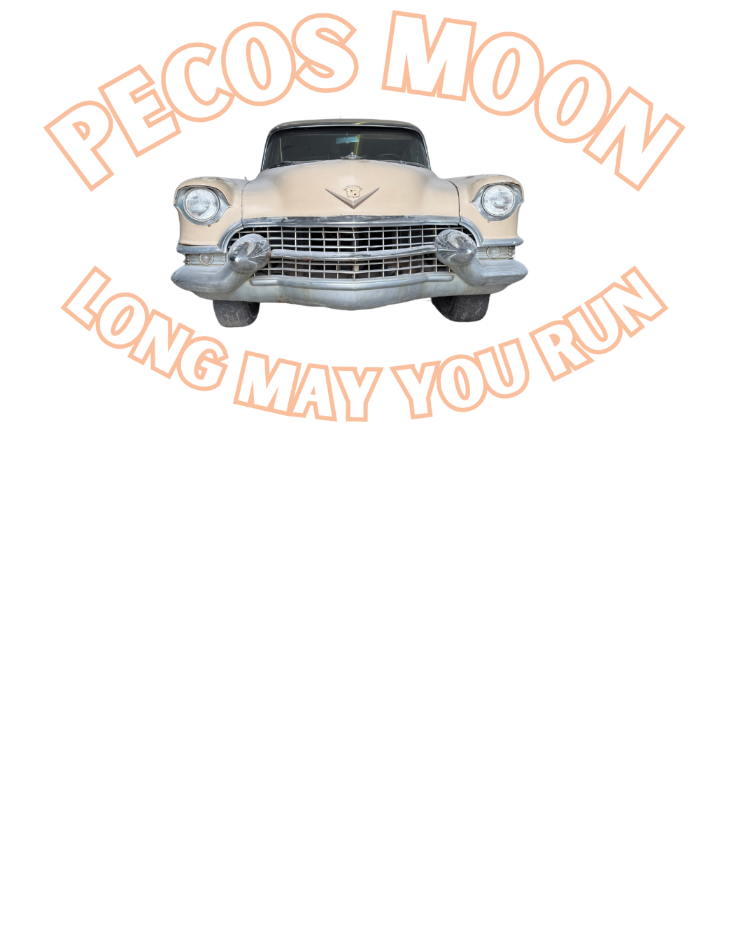 About the Long may you run campaign on Bonfire 2