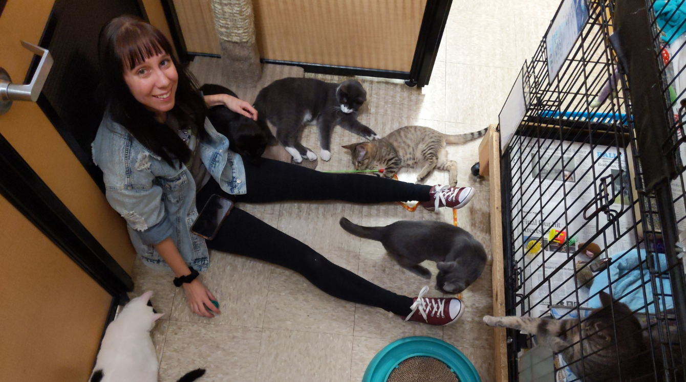 About the Creature of the Night campaign on Bonfire 2