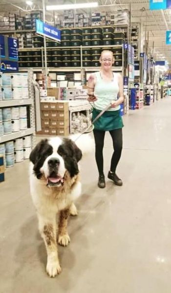 About the Saints and Angels Rescue campaign on Bonfire 3