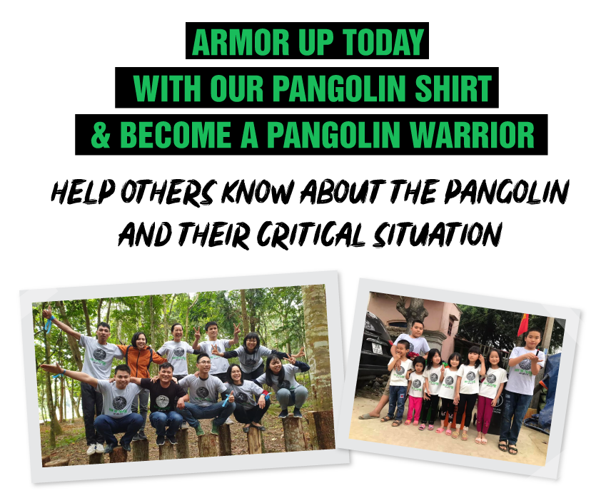 About the ARMOR UP for PANGOLINS! campaign on Bonfire 4