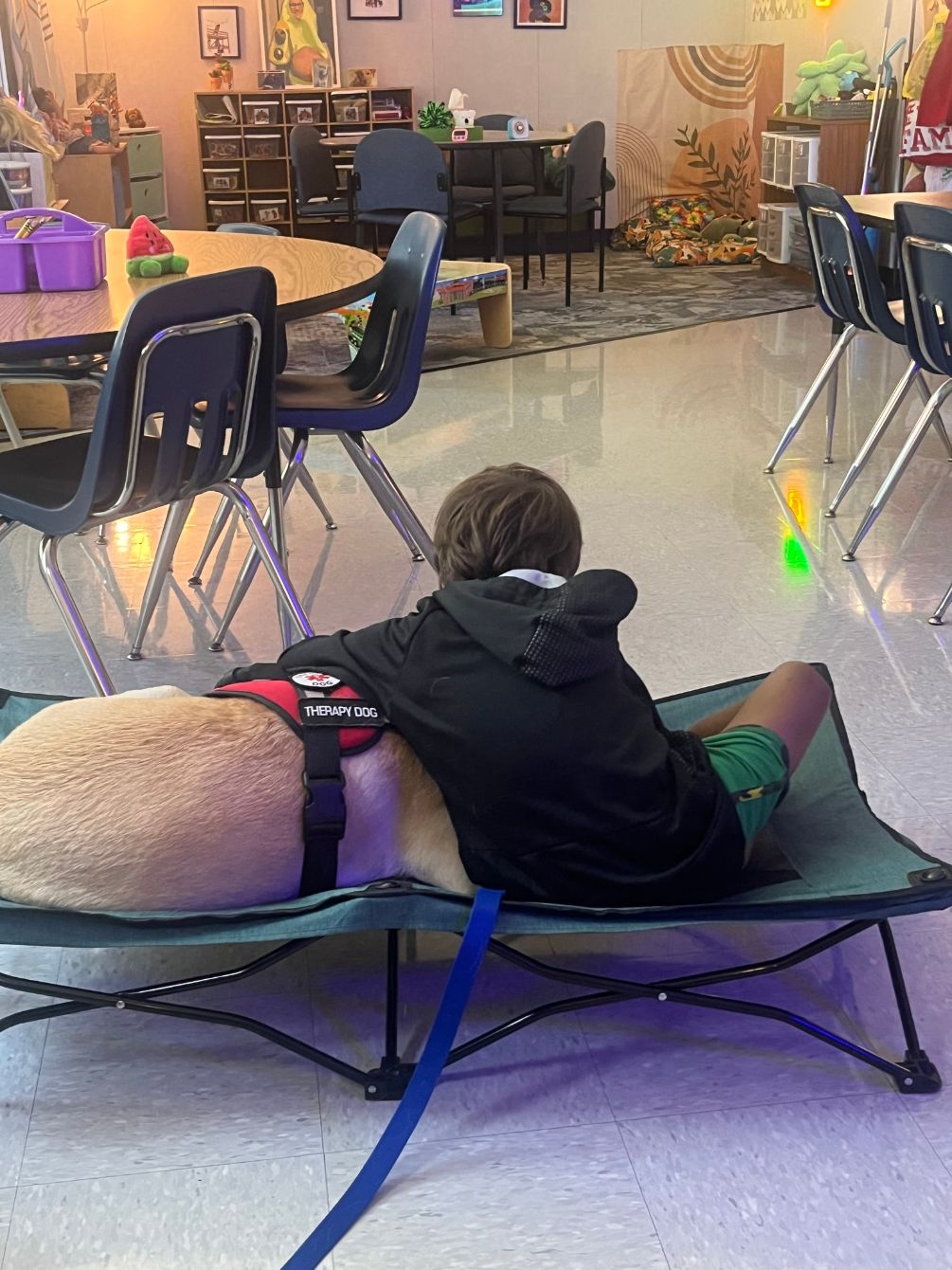 About the  campaign on Bonfire 2