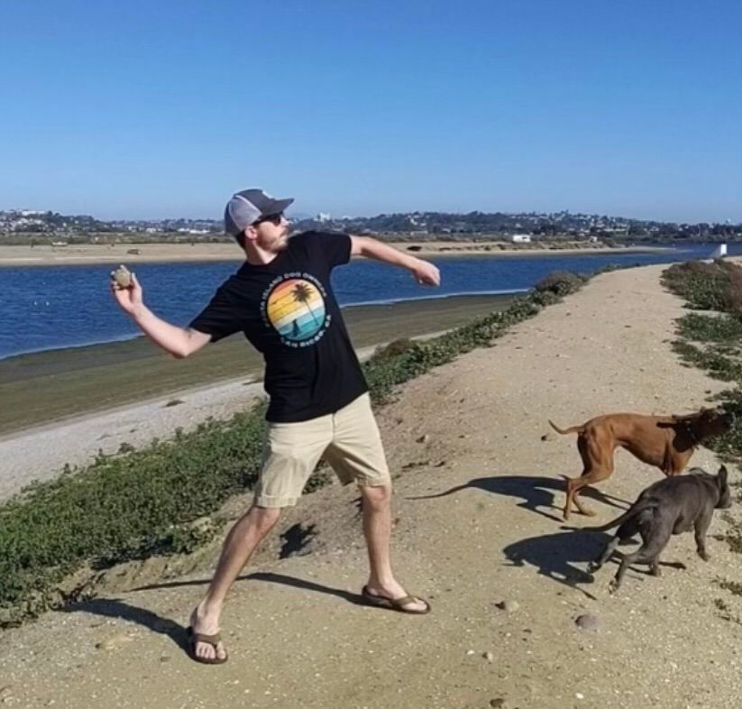 About the FIDO Sunset campaign on Bonfire 2