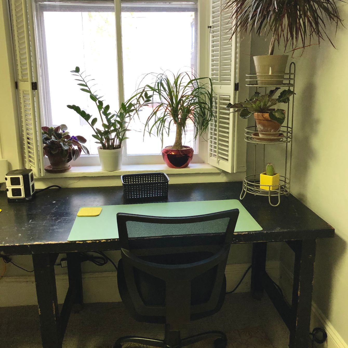 About the Lexington Writer's Room  campaign on Bonfire 3