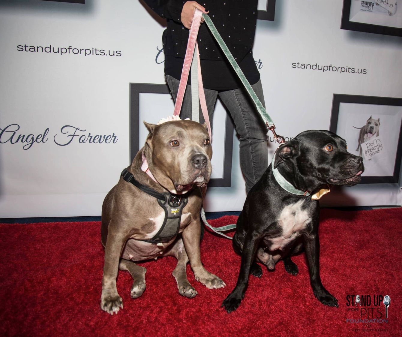 About the DON'T FEAR WHAT YOU DON'T KNOW campaign on Bonfire 4