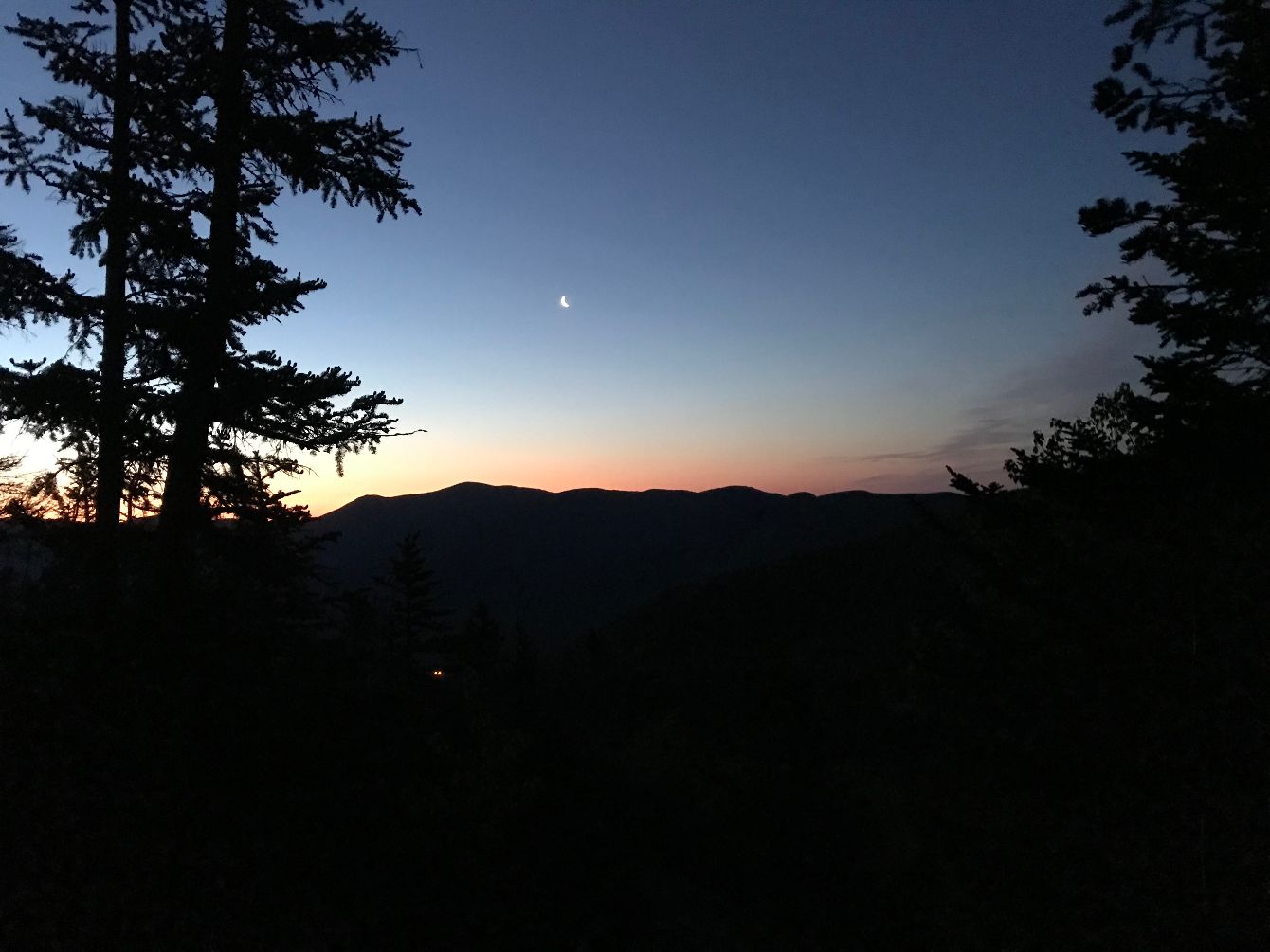 About the Mountain Birdwatch swag campaign on Bonfire 4