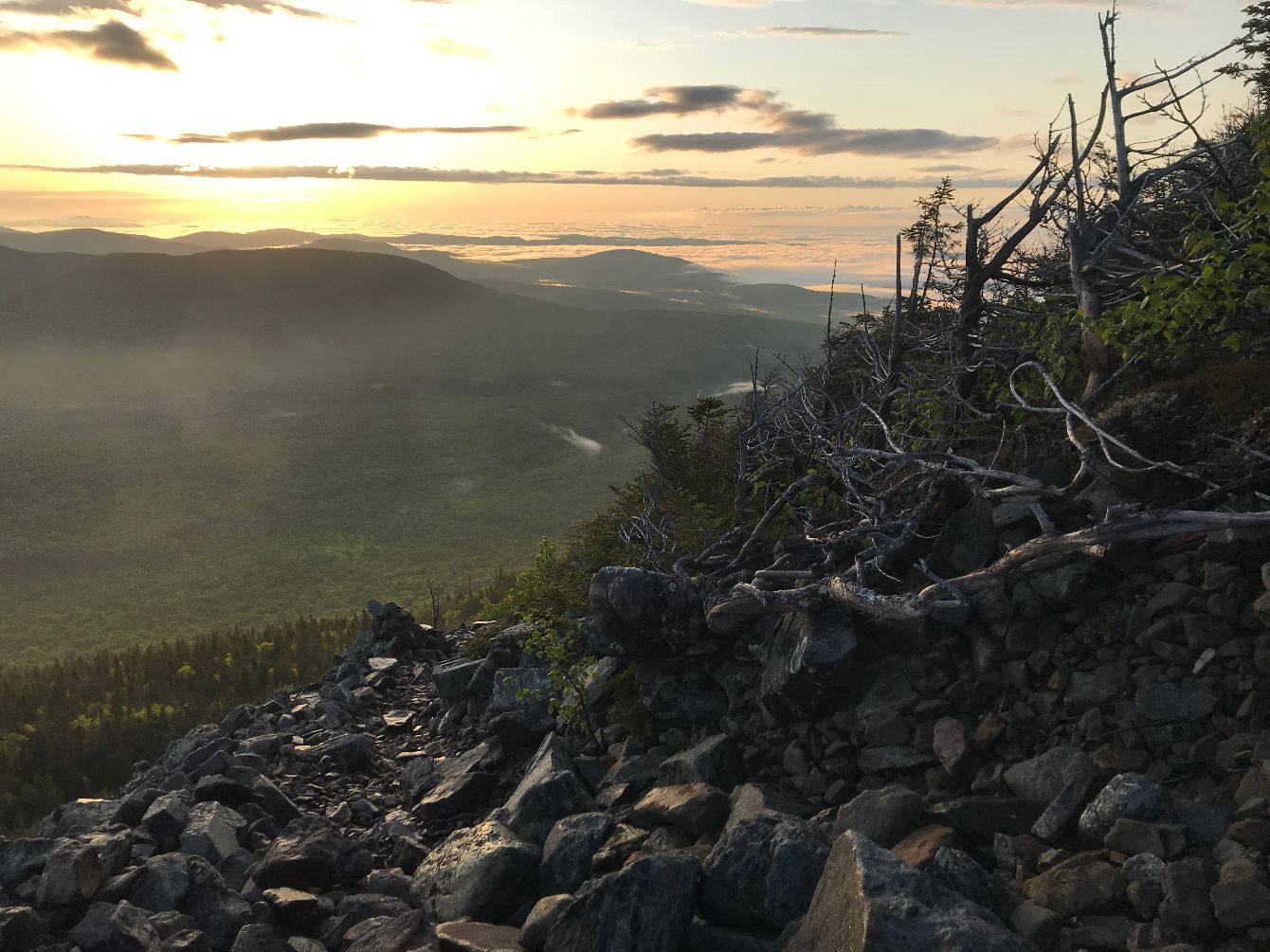 About the Mountain Birdwatch swag campaign on Bonfire 2