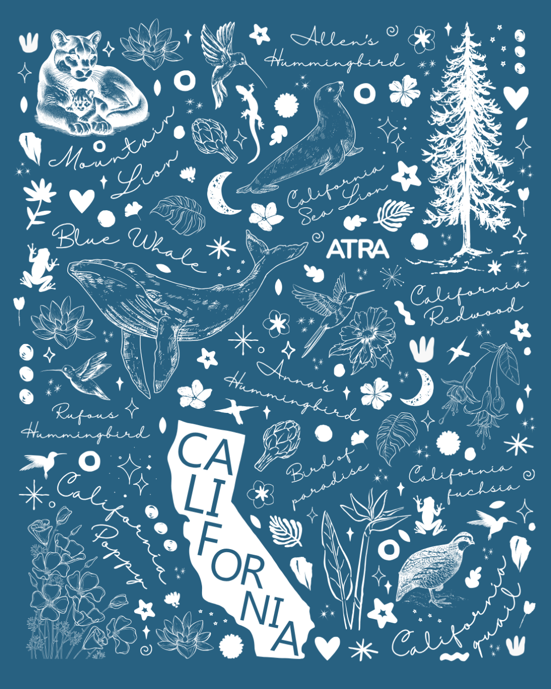 About the SoCal Flora + Fauna campaign on Bonfire 6