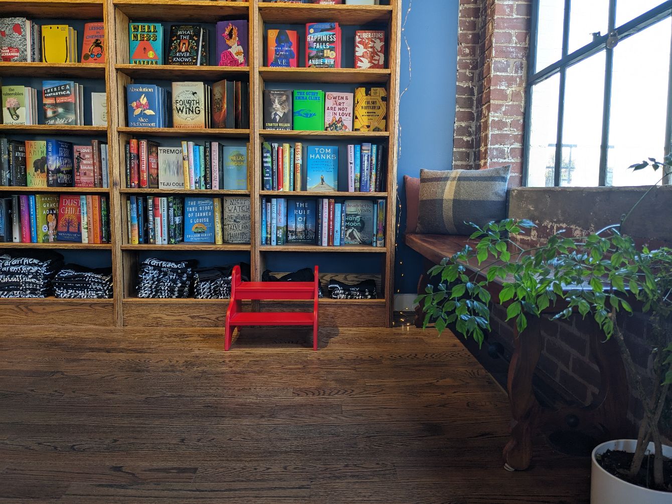 About the Indie Bookshop Magic campaign on Bonfire 2