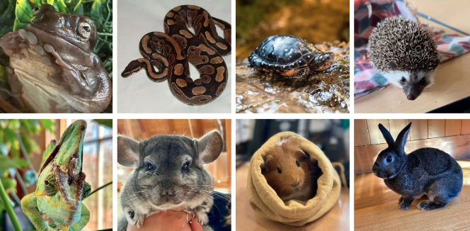 About the DNC Giving Tuesday Sale campaign on Bonfire 3