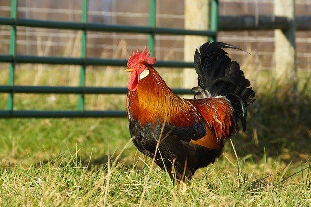 About the Graze Against The Machine FU Shirts campaign on Bonfire 4