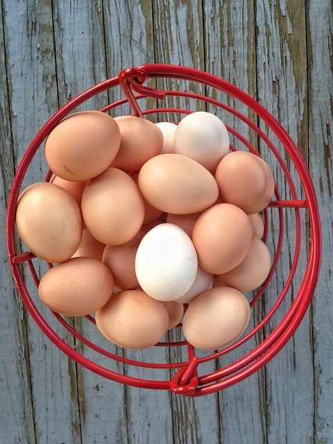 About the Graze Against The Machine FU Shirts campaign on Bonfire 5