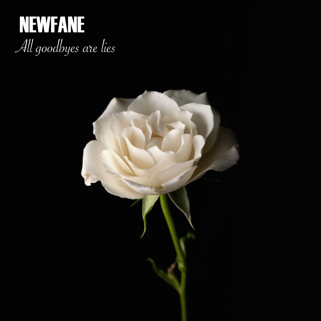 About the Newfane:&nbsp; All Goodbyes Are Lies campaign on Bonfire 2