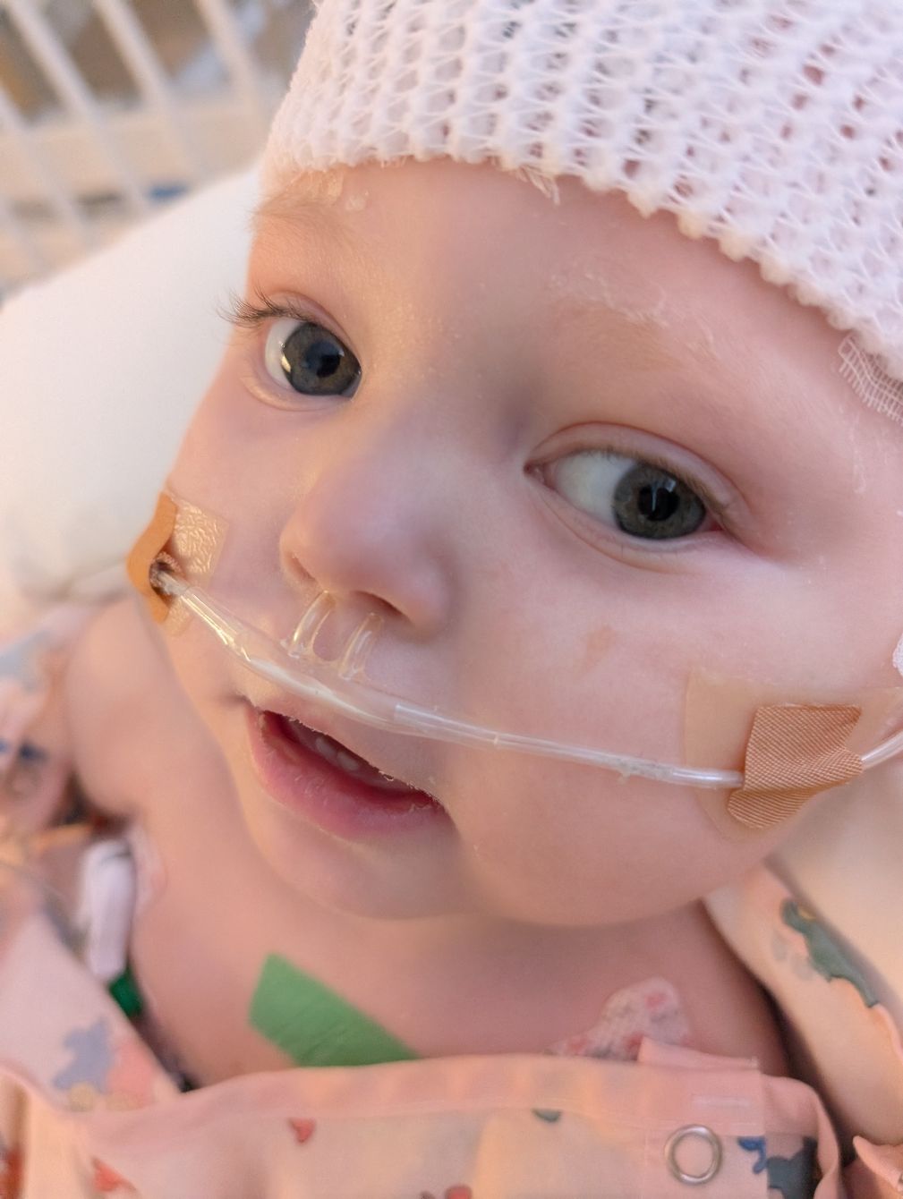 About the  campaign on Bonfire 4