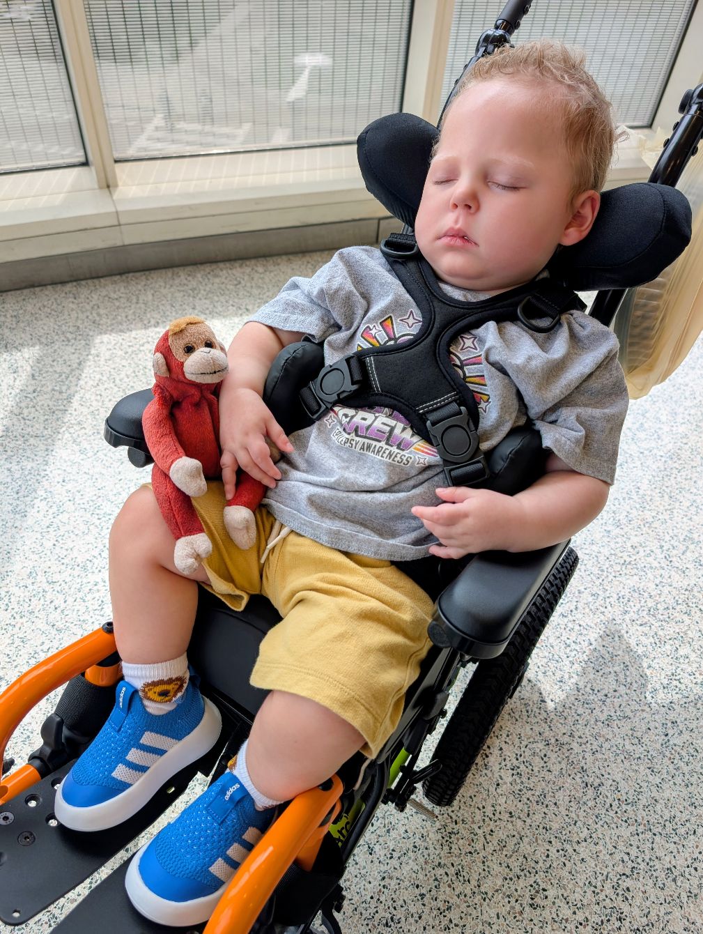 About the  campaign on Bonfire 6