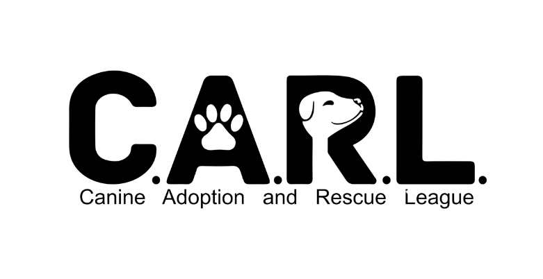 About the  campaign on Bonfire 2