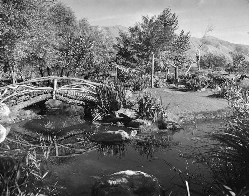 About the Rose Park Bridge campaign on Bonfire 2