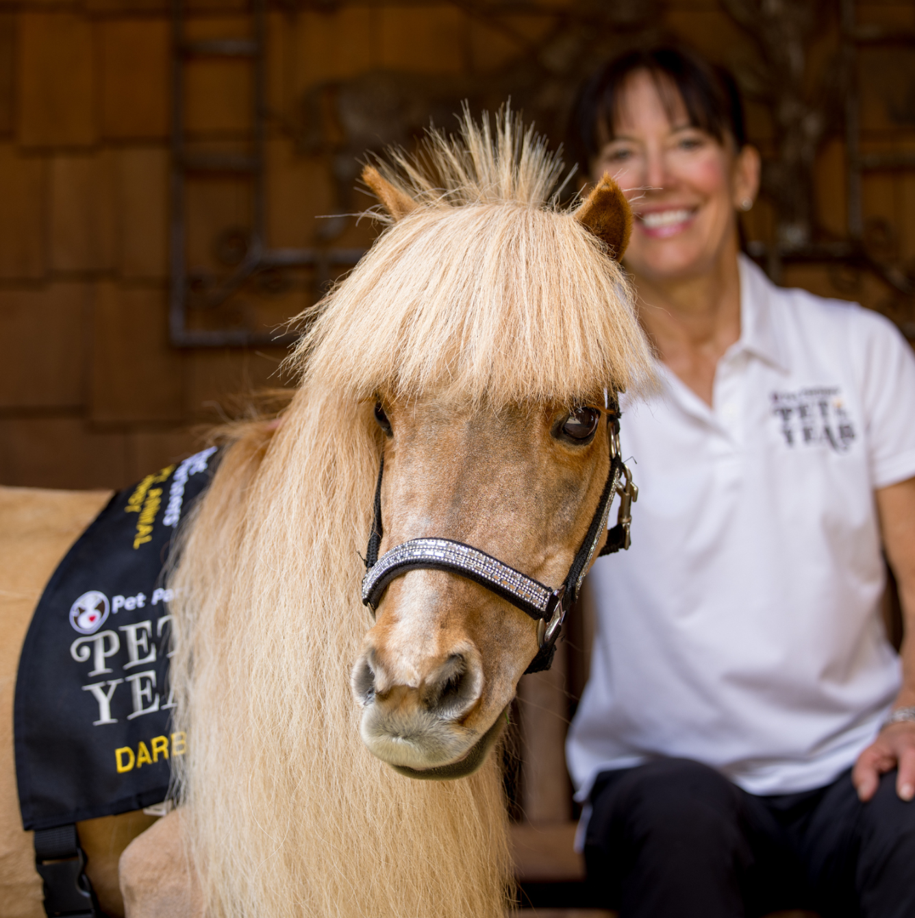 About the Unbridled Joy, One Visit at a Time campaign on Bonfire 2