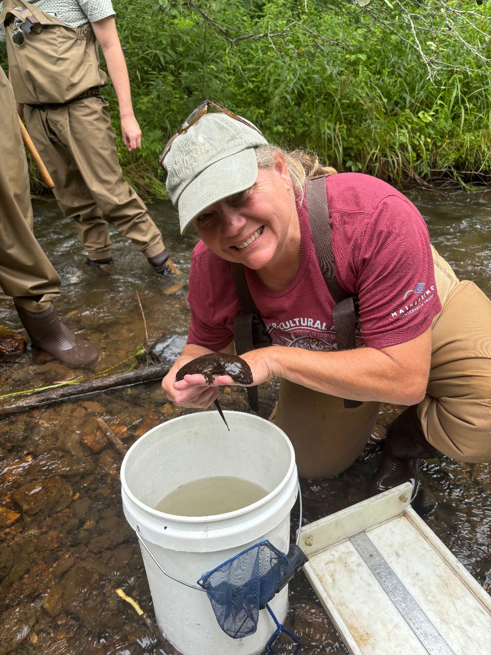 About the Save the Hellbender- Light Graphic Shirts campaign on Bonfire 2