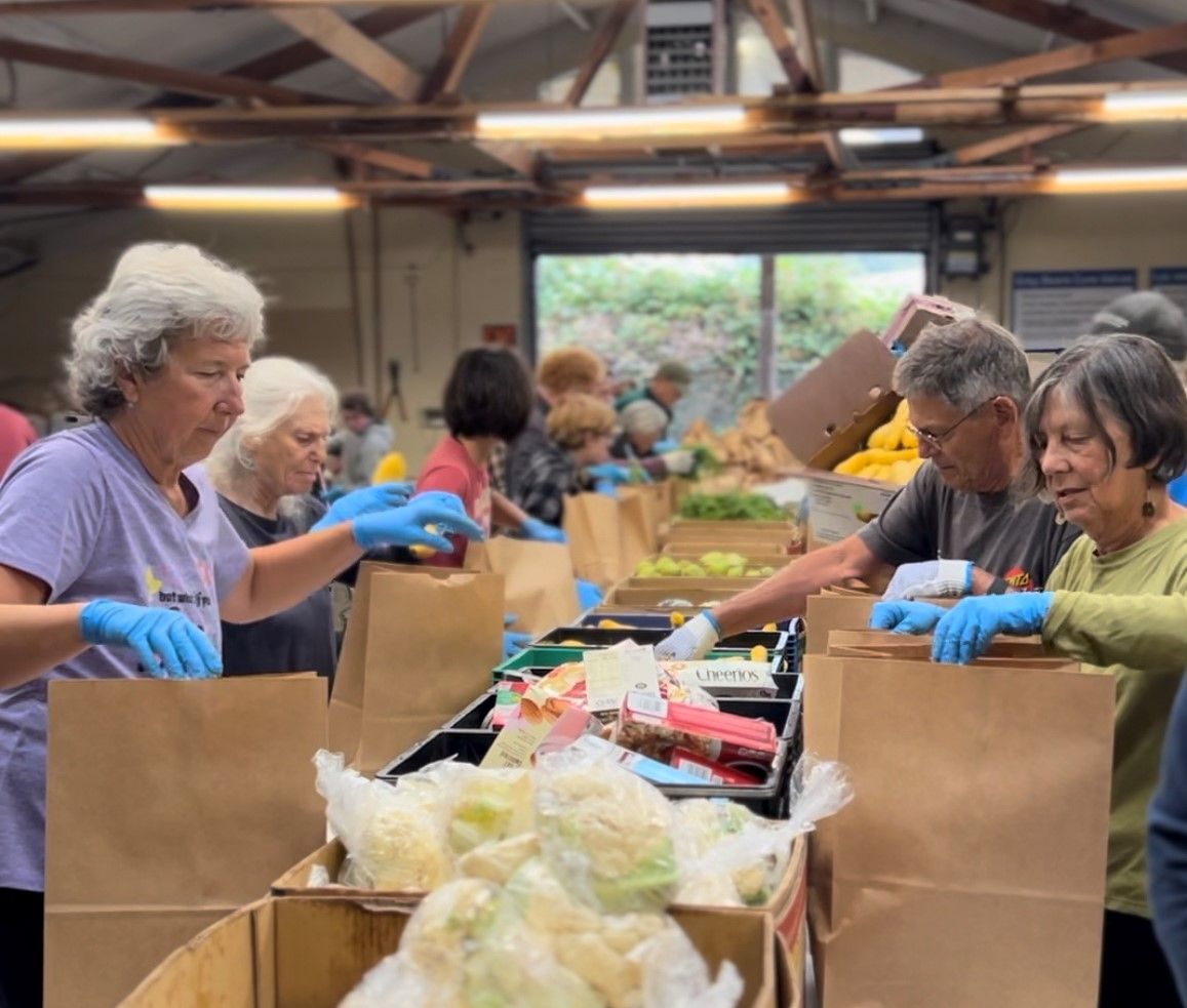 About the Grey Bears Logo campaign on Bonfire 2