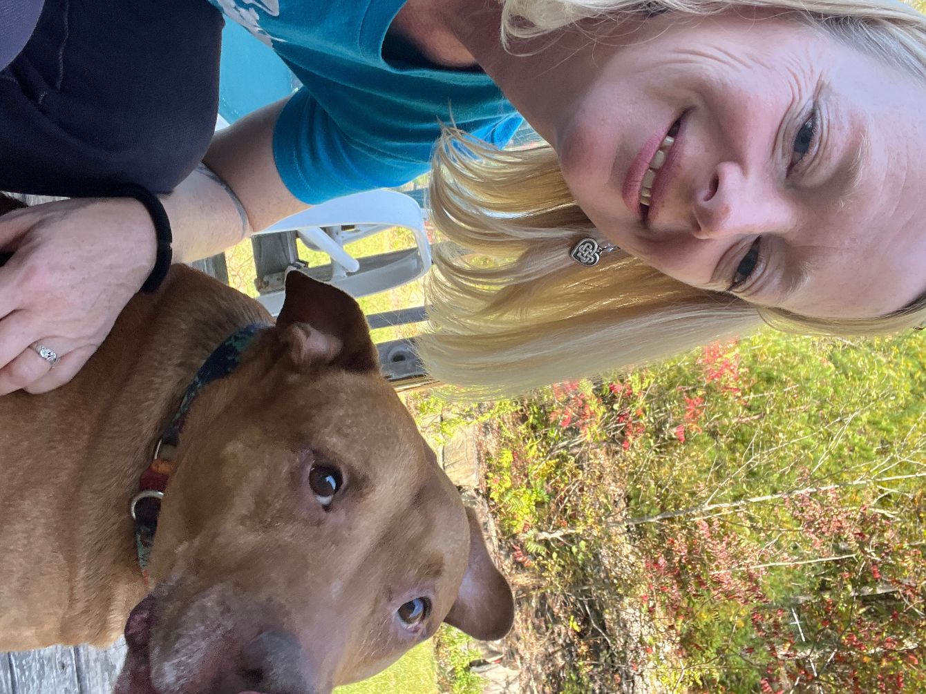 About the Save the Dogs! campaign on Bonfire 2