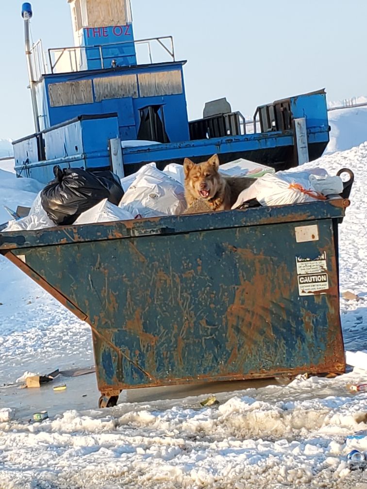 About the S4D Coffee Mug campaign on Bonfire 2