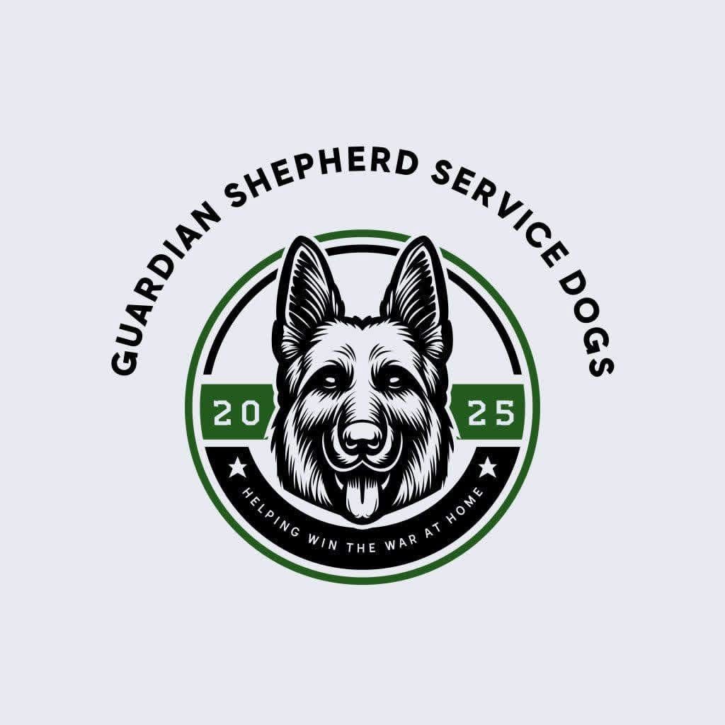 About the GSSD Supporter  campaign on Bonfire 2