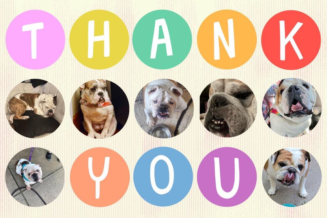 About the Cheffy! campaign on Bonfire 2