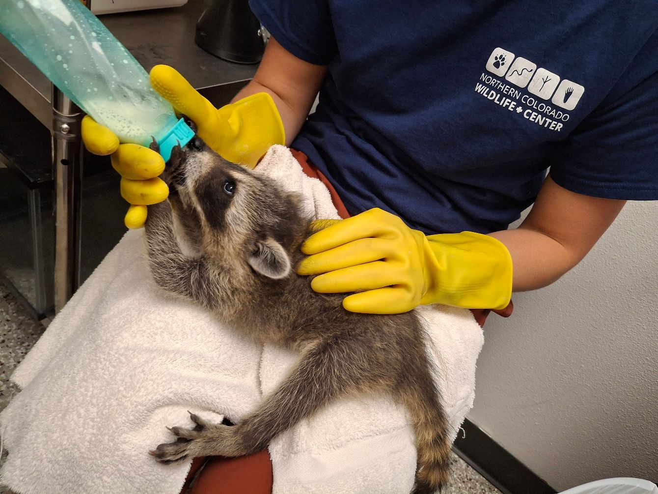 About the Cloud's Tee campaign on Bonfire 2