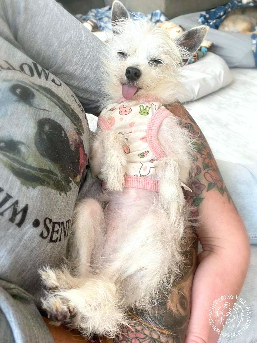 About the Pocket Full of Sunshine!  campaign on Bonfire 4